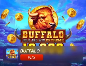 buffalo